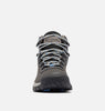 Columbia Women's Newton Ridge Plus Waterproof Hiking Boot - Quarry, Cool Wave