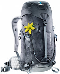 32l deuter backpack act trail sl ems portland maine Deuter ACT Trail 22 SL Hiking Backpack